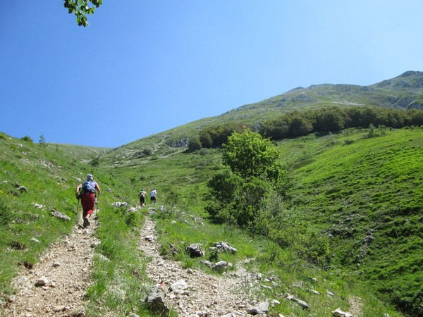 Monte Terminillo Sky Race (Crit. Trail) (30/06/2013) 008