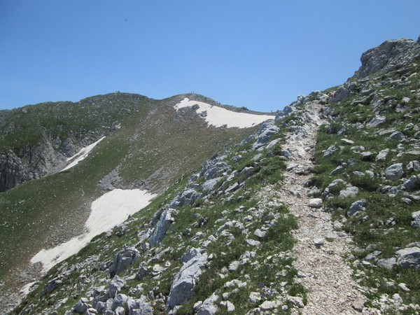 Monte Terminillo Sky Race (Crit. Trail) (30/06/2013) 100