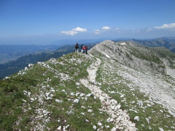 Monte Terminillo Sky Race (Crit. Trail) (30/06/2013) 101