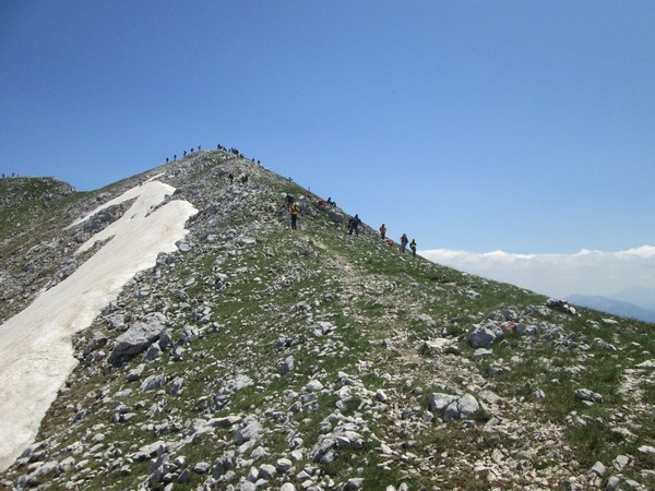Monte Terminillo Sky Race (Crit. Trail) (30/06/2013) 104