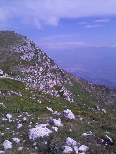 Eco Trail dell'Altipiano delle Rocche  (Crit. Trail) (21/07/2013) 00014