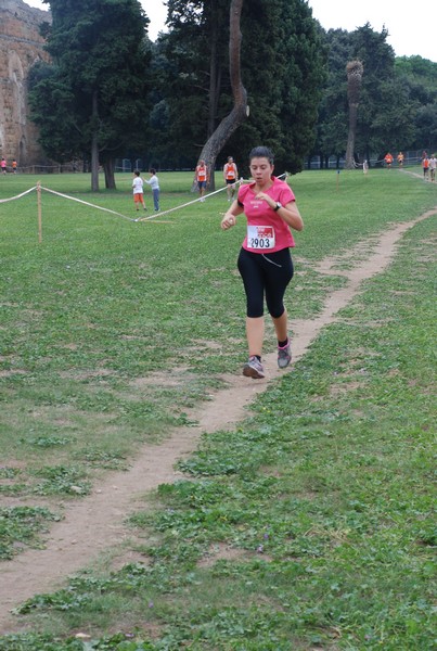 Trofeo Podistica Solidarietà (29/09/2013) 00082