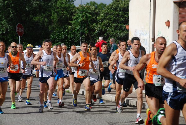 Maratonina di Villa Adriana (26/05/2013) 00036