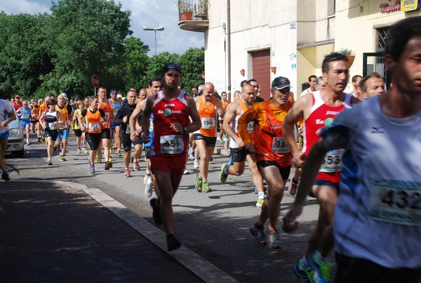 Maratonina di Villa Adriana (26/05/2013) 00044