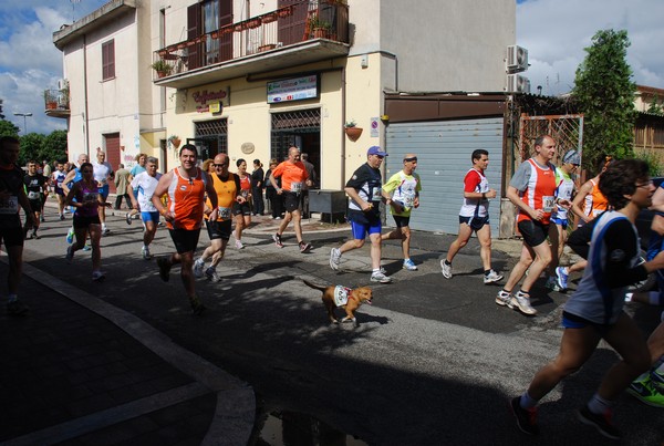 Maratonina di Villa Adriana (26/05/2013) 00057