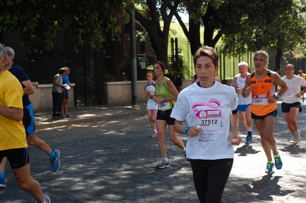 Race For The Cure (18/05/2014) 00069