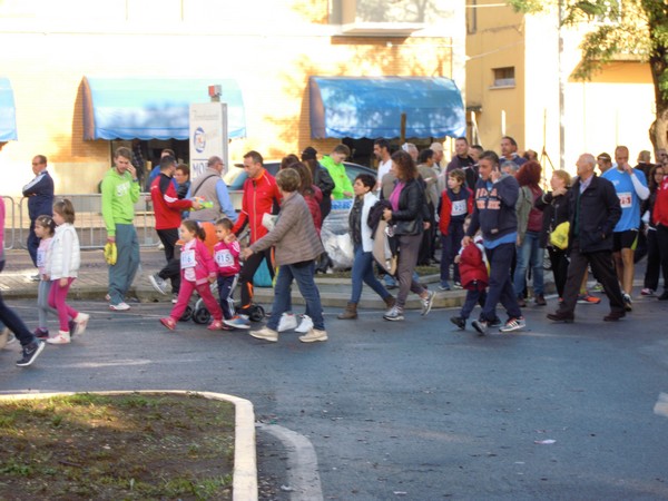 Half Marathon delle Terre Pontine (16/11/2014) 00007