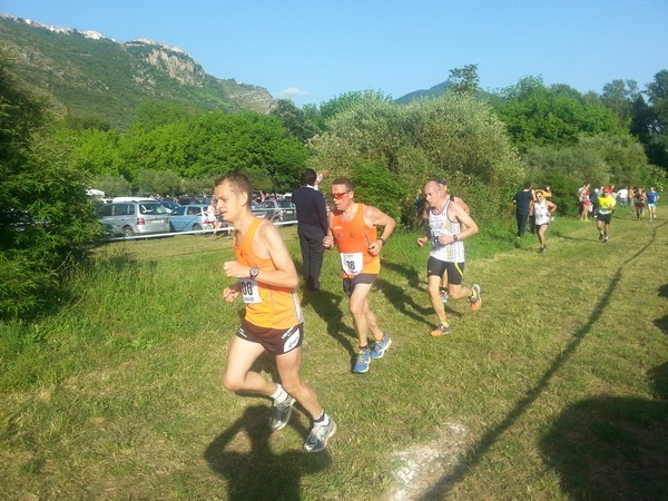 Campestre Oasi di Ninfa (24/05/2014) 00017