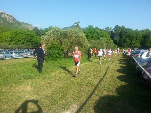 Campestre Oasi di Ninfa (24/05/2014) 00019