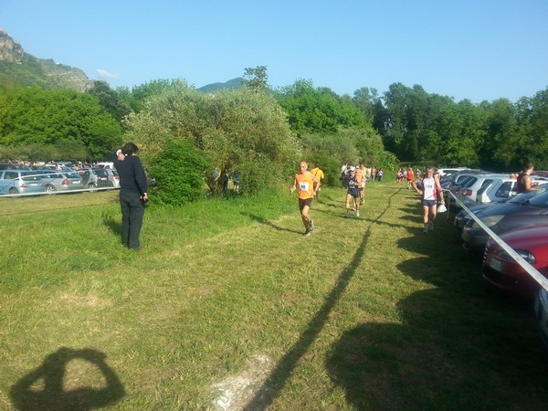 Campestre Oasi di Ninfa (24/05/2014) 00027