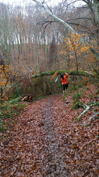 Trail del Monte Fogliano (Crit. Trail) (02/02/2014) 013