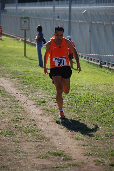 Trofeo Podistica Solidarietà (28/09/2014) 00043