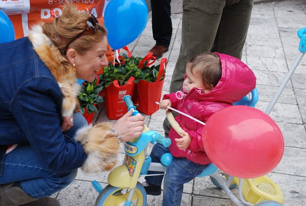 Una Gardenia per l'AISM (08/03/2014) 00015