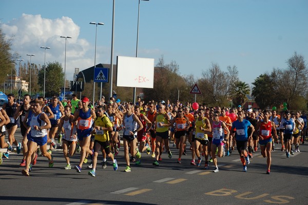 Fiumicino Half Marathon (09/11/2014) 00020