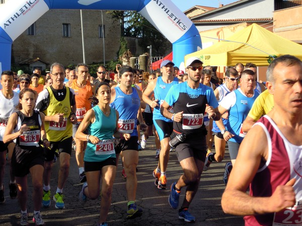 Half Marathon delle Terre Pontine (16/11/2014) 00005