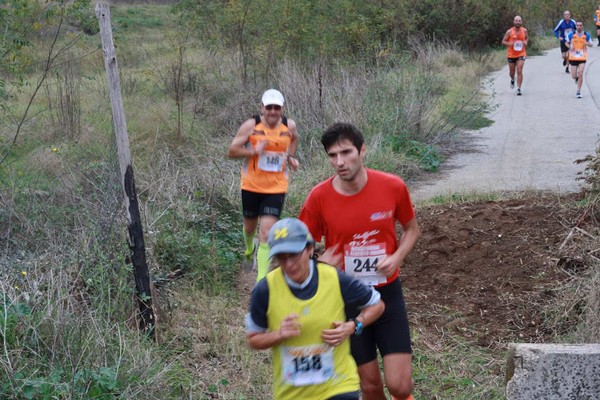 Maratonina di S.Alberto Magno (15/11/2014) 014