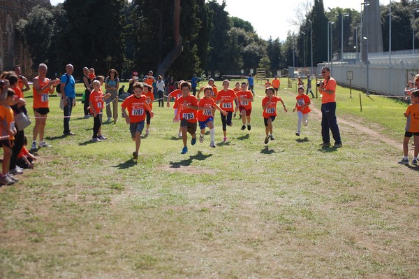 Trofeo Arancini Podistica Solidarietà (28/09/2014) 00042