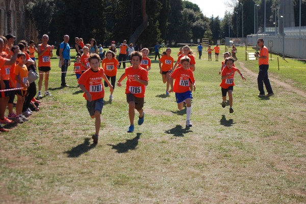 Trofeo Arancini Podistica Solidarietà (28/09/2014) 00043