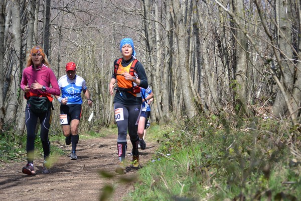 Trail della Capitale (Crit. Trail) (30/03/2014) 047