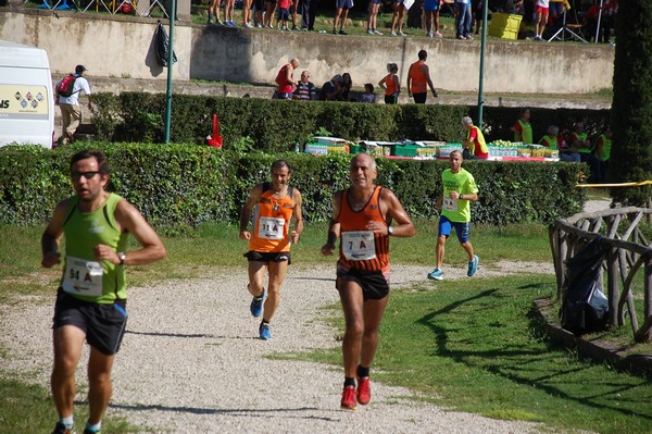 Maratona di Roma a Staffetta (18/10/2014) 00016