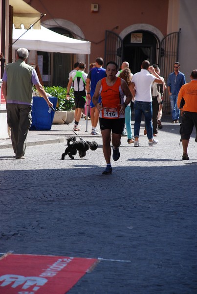 Gara della Solidarietà di Tagliacozzo (C.E.) (07/09/2014) 00189