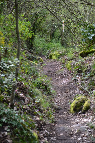 Monti Cimini Run  (Crit. Trail) (13/04/2014) 076