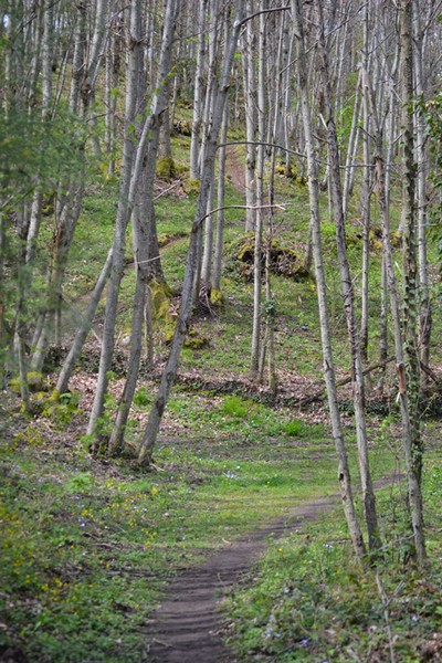 Monti Cimini Run  (Crit. Trail) (13/04/2014) 079