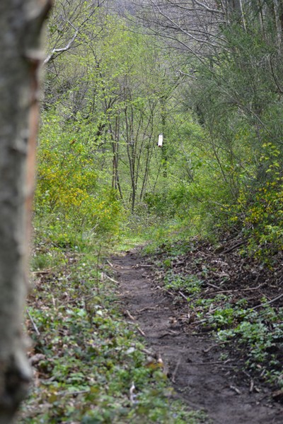 Monti Cimini Run  (Crit. Trail) (13/04/2014) 080