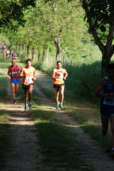 Campestre Oasi di Ninfa (24/05/2014) 008