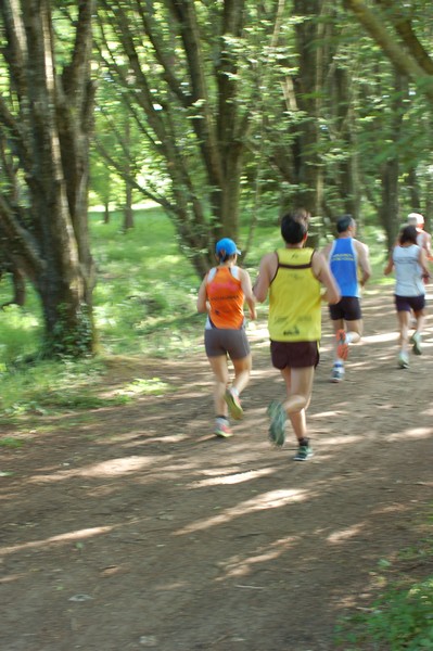 Campestre Oasi di Ninfa (24/05/2014) 037