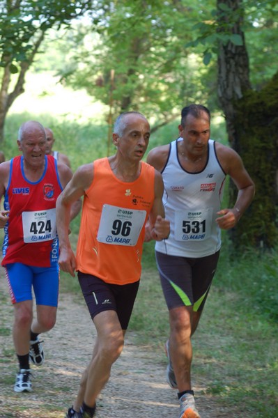 Campestre Oasi di Ninfa (24/05/2014) 052