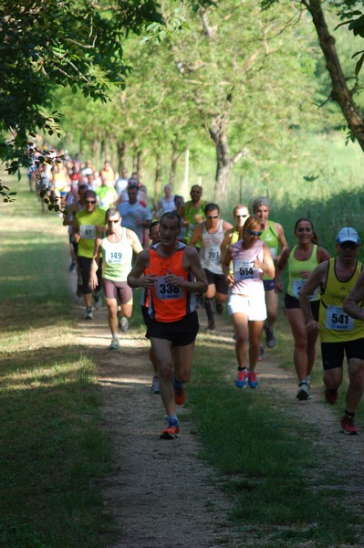 Campestre Oasi di Ninfa (24/05/2014) 053