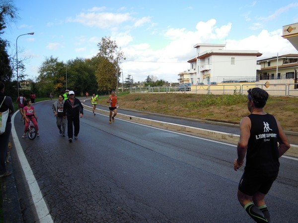 Half Marathon delle Terre Pontine (16/11/2014) 00013