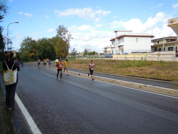 Half Marathon delle Terre Pontine (16/11/2014) 00021