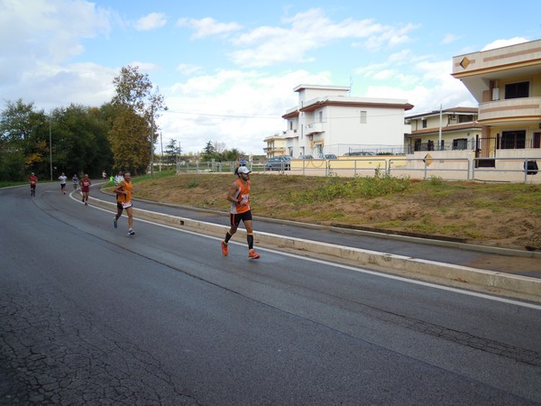 Half Marathon delle Terre Pontine (16/11/2014) 00033