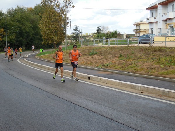 Half Marathon delle Terre Pontine (16/11/2014) 00043