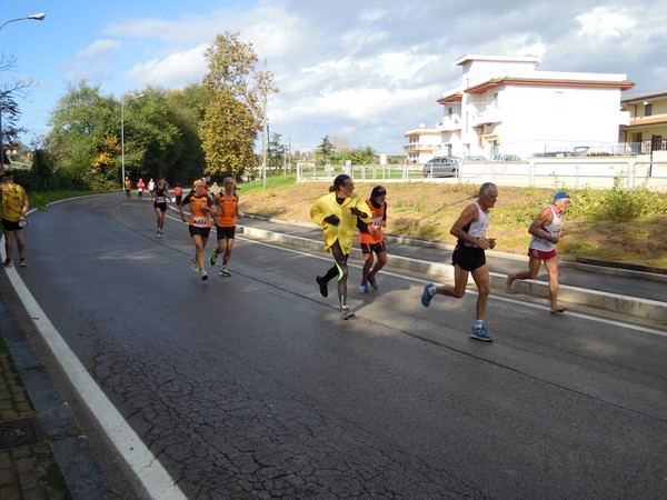 Half Marathon delle Terre Pontine (16/11/2014) 00072