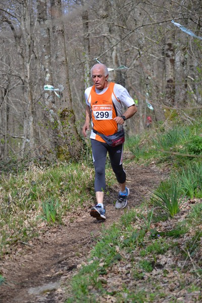 Trail della Capitale (Crit. Trail) (30/03/2014) 016