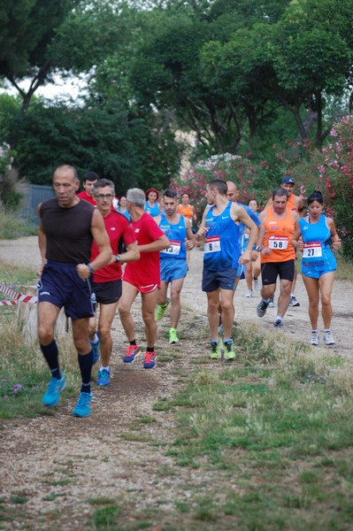 Solstizio d'estate (18/06/2014) 00061