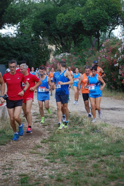 Solstizio d'estate (18/06/2014) 00062