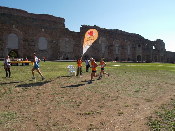 Trofeo Arancini Podistica Solidarietà (28/09/2014) 022