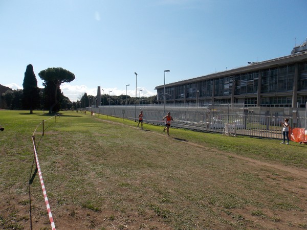 Trofeo Arancini Podistica Solidarietà (28/09/2014) 056