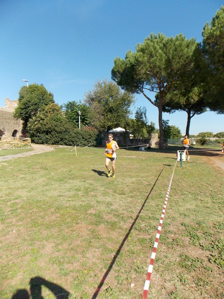 Trofeo Podistica Solidarietà (28/09/2014) 031