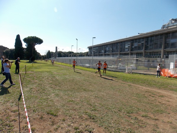 Trofeo Podistica Solidarietà (28/09/2014) 051