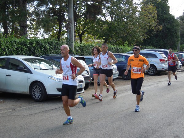 Half Marathon delle Terre Pontine (16/11/2014) 00029
