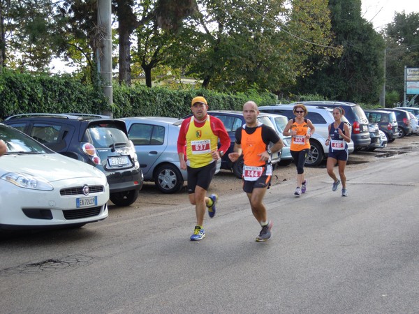 Half Marathon delle Terre Pontine (16/11/2014) 00041