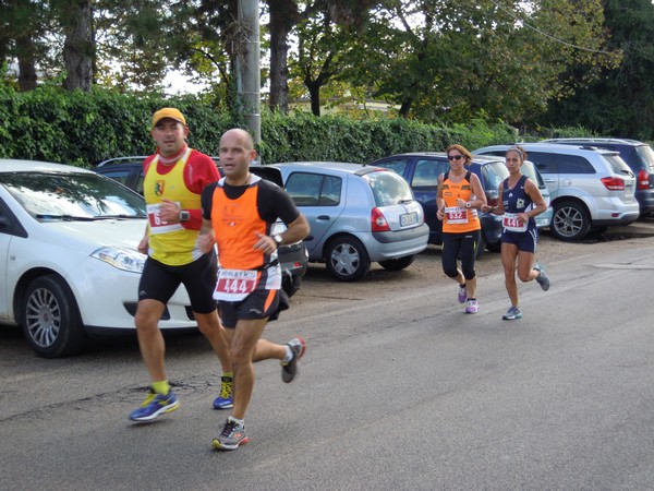 Half Marathon delle Terre Pontine (16/11/2014) 00042