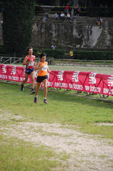 Maratona di Roma a Staffetta (18/10/2014) 00017