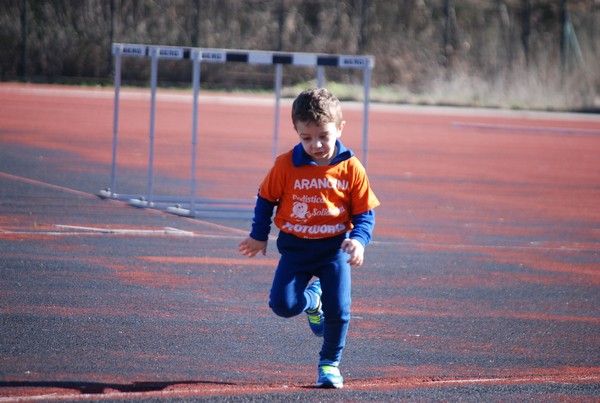 Corso di Atletica Leggera (15/02/2014) 00020