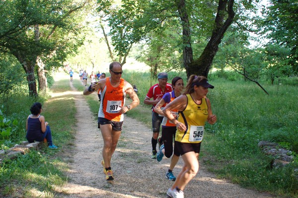 Campestre Oasi di Ninfa (24/05/2014) 016